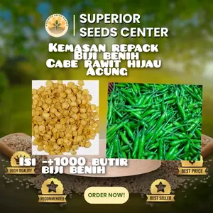 KEMASAN REPACK 1000 BUTIR BIJI BENIH CABE RAWIT HIJAU