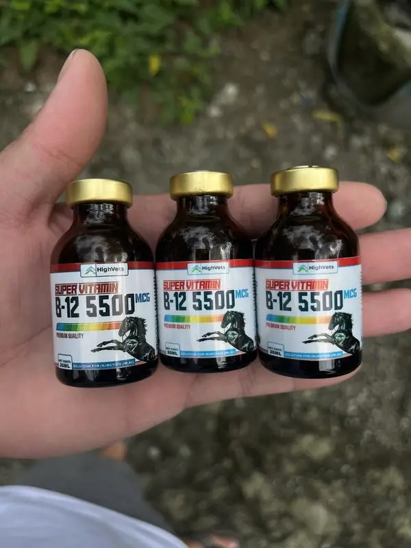 best b12 injectable for gamefowl SUPER VITAMIN B12 5500MCG w/ Liver Extract For Rooster, gamefowl and other  animals. SUPER VITAMINA B12