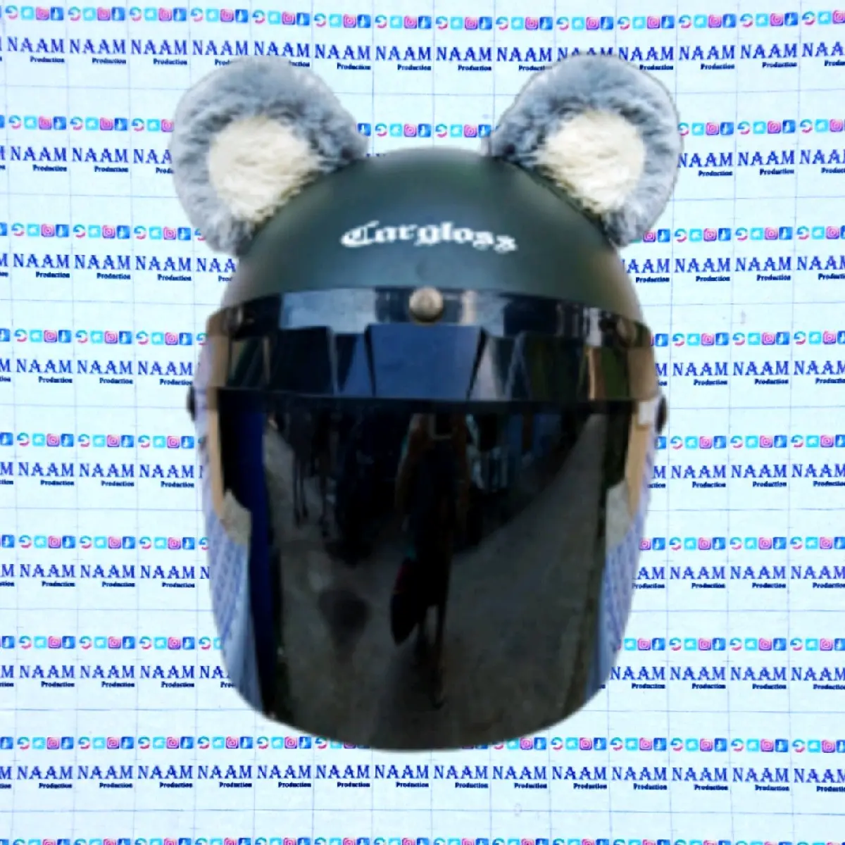 Kuping Helm Beruang, Kuping Beruang, Kuping Panda