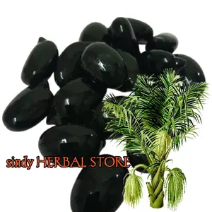 Benih Biji Pohon Aren  Unggul Berkualitas Tinggi - Isi 100 Biji - Bibit