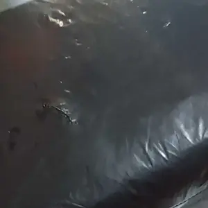 [ 1 tas 12 pack ] HERS PROTEX UNGU MAXI WING Pembalut Wanita isi 5 pad - Feminine Care - Perawatan