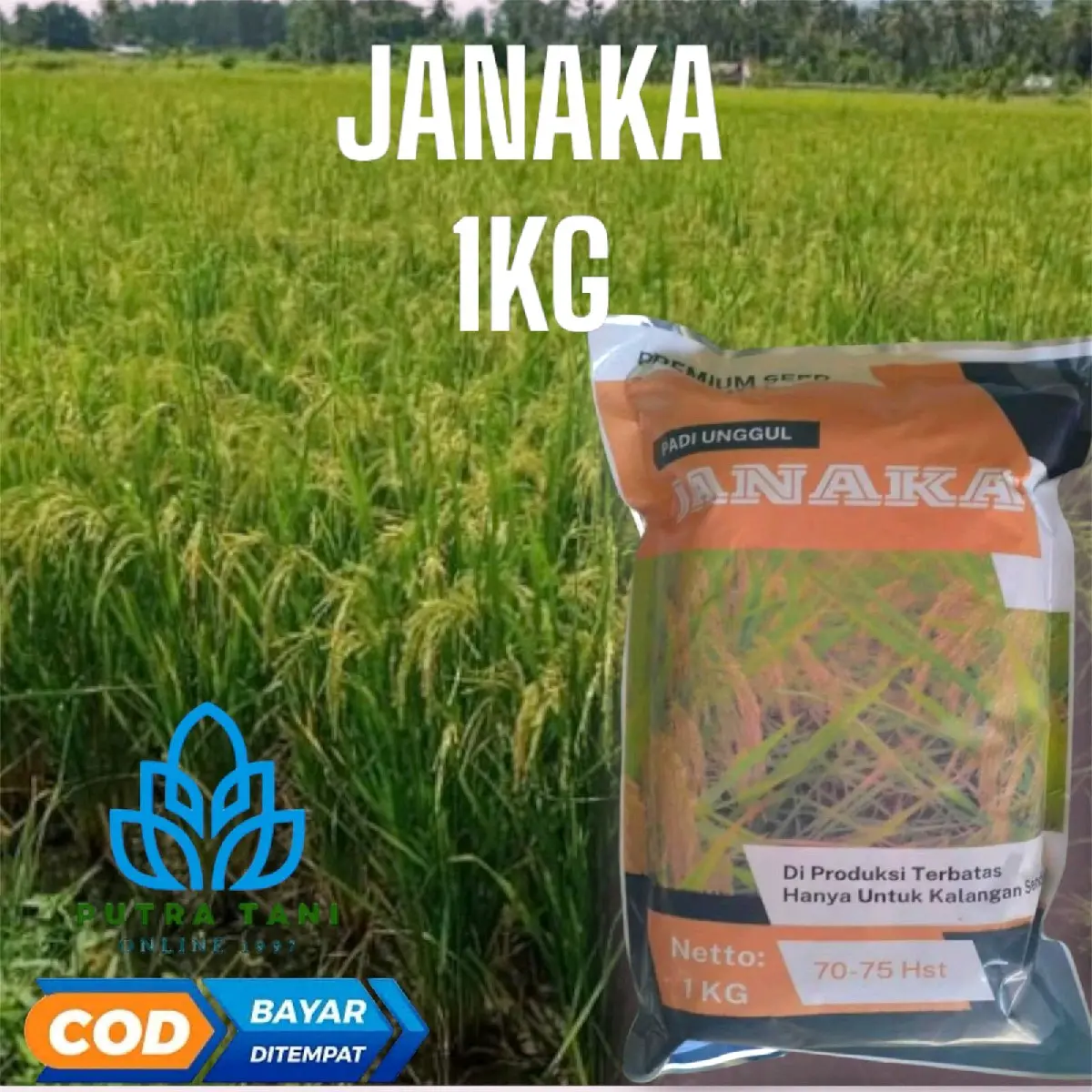 PADI UNGGUL JANAKA 1KG pengusaha tani