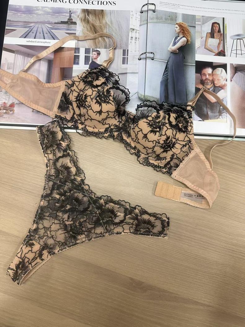 Product Introduction of Embroidery Lace Thin Cotton Underwear Transparent Lingerie Sets For Women Sexy Push Up Gather Fashion Lady Bra And Panty Sets 19