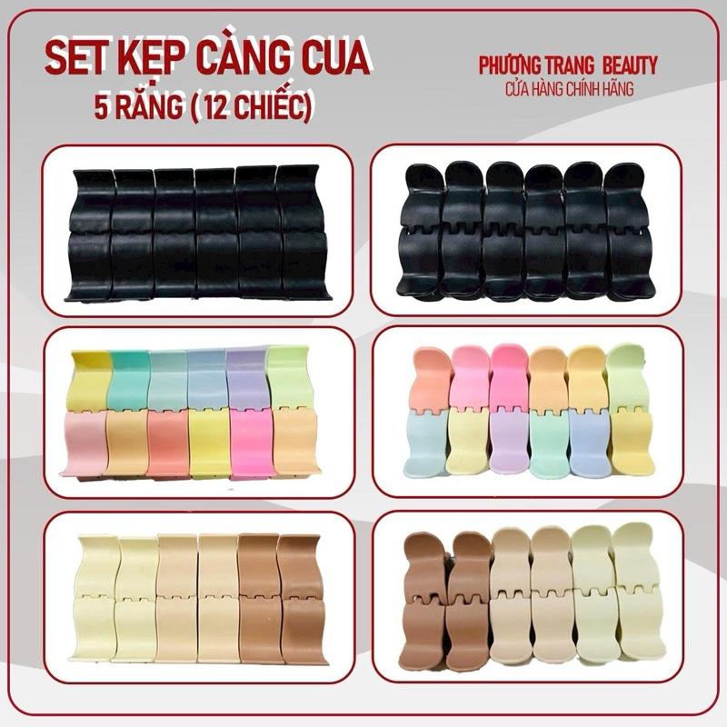 SET 12 KẸP CÀNG CUA 5 RĂNG NHIỀU MÀU SẮC TỰ CHỌN kẹp càng cua kẹp tóc nữ