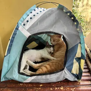 TENDA KUCING DAN ANJING UK 45x45 jumbo motif LUCU free kasur