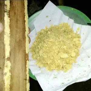 Telur maggot BSF harga 1 gram minimal pembelian 5 gram untuk pakan ternak alternatif