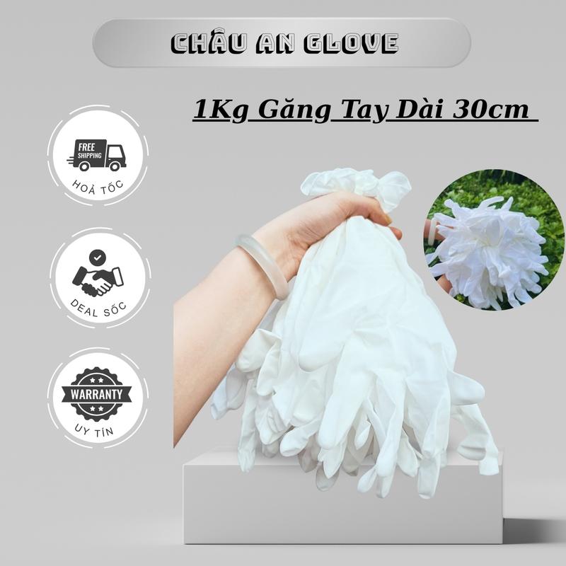 ( Hàng Loại 1 ) 1Kg Găng Tay Cao Su Latex, Găng Tay Không Bột Dài 30cm Nhập Khẩu Chính Hãng Malaysia