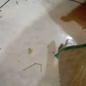 12pcs(1 lusin) GARPU MAKAN STAINLESS STEEL 18g DS 2