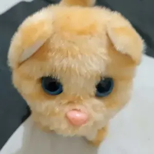 Mainan Anak Kucing Bersuara Meong dan Berjalan Hewan Peliharaan Lucu