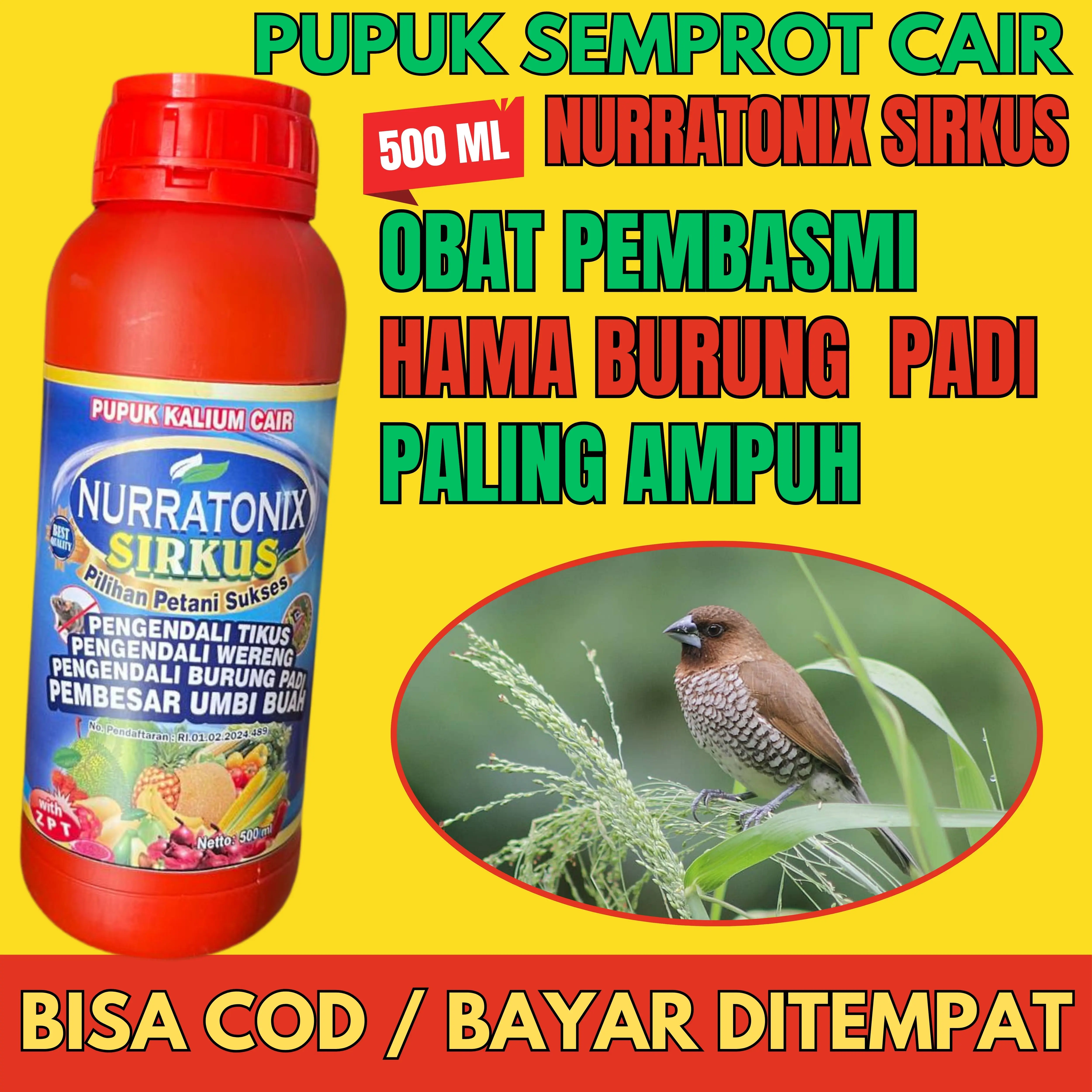 PENGUSIR BURUNG PIIT Nurratonix Sirkus Obat Semprot Pengusir Hama Burung Piit Di Lahan Pertanian - Obat  Pengendalian Hama Burung Piit Pada Semua Jenis Tanaman
