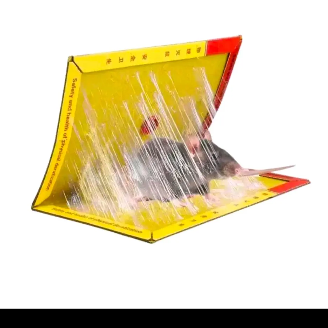 LEM TIKUS // Lem Perangkap Tikus Model Buku Lem Tikus Perekat Kuat Lem Papan Super Lengket