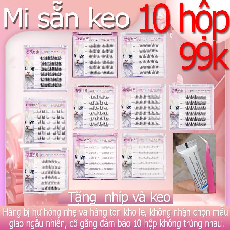 99k/10 hộp vỡ Lông Mi sẵn keo không cần dùng keo hàng xả hộ xưởng tặng kèm nhíp và keo dán
