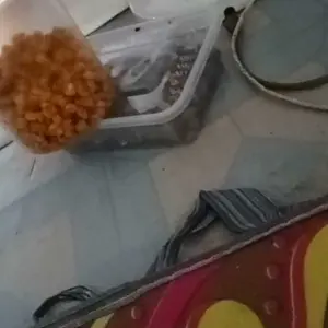 biji kedawung MATANG siap makan / biji kedawung 1 kg / biji pendey /dawung / kedawung asli /biji kedawung matang sangrai / biji sengon Food Cemilan Snack Kacang Makanan Jajanan