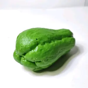 Replika sayuran labu siam (1pcs) / Dummy sayuran / Dekorasi meja makan / mainan anak