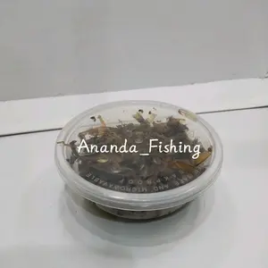 Umpan Laron Mati Siap Pakai Umpan ikan Lele,bawal, gurame,dll