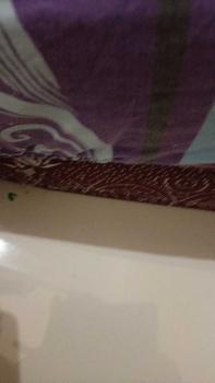 Product Review of [COD]Paket Dunia Dinosaurus Tyrannosaurus Rex Besar Dunia Dinosaurus Mainan Anak Laki-laki dan Perempuan Model Plastik Simulasi Toy from R**i R**8 0
