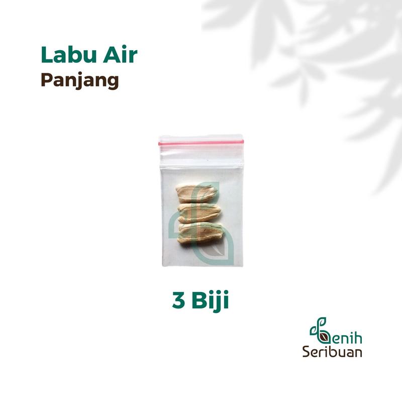 3 Benih Labu Air Panjang Balistik Super Bibit Sayuran Unggul Bintang Asia Tanaman Sayur Berkualitas 4