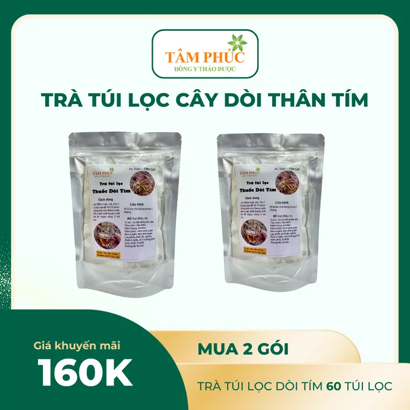 [60 túi lọc] - Túi lọc cây dòi thân tím hỗ trợ các vấn đề về Phổi và Hô Hấp( Cây bọ mắm)  + Tặng Hạt Giống 4