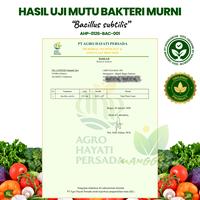 Gambar MANGGROW - Pupuk Organik Cair Pepaya 500ml & 1000ml | Pelebat Buah & Menyuburkan Pertumbuhan Pepaya - Pupuk 500ml dari Manggrow Official Shop Kab. Sukoharjo 5 Tokopedia