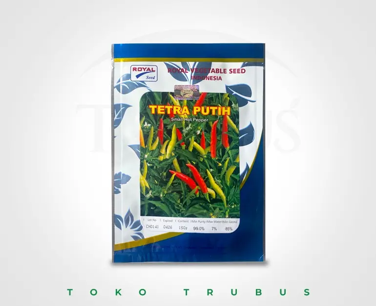 BENIH CABE RAWIT TETRA HARGA KHUSUS