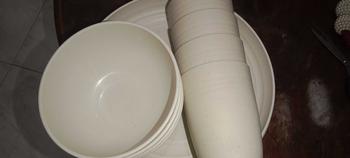 Product Review of ROMANTIC 12pcs BEIGE Eco-Friendly Wheat Straw Lightweight Tableware Plates Bowls and Cups Sets Microwave & Dishwasher Safe Cutlery from n**i 1