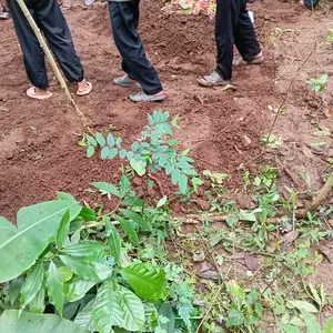 Alisa Dress Wanita Maxi Pres Body Terbaru  Pesta Gaun Casual Hitam Remaja Bodycon Panjang