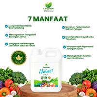 Gambar Pestisida Nabati Formula Organik Pembasmi Hama Tanaman 1 Liter - Manggrow dari Manggrow Official Shop Kab. Sukoharjo 3 Tokopedia