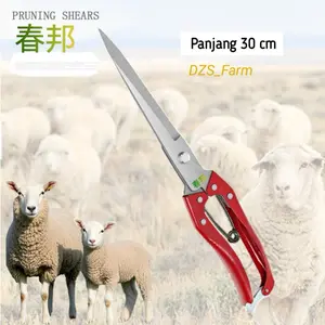 Gunting Cukur Bulu Domba Import Premium 30 cm - Alat Cukur Bulu Doma - Wool Scissors