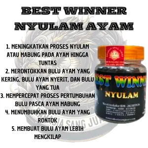 BEST WINNER NYULAM AYAM MENINGKATKAN PROSES NYULAM ATAU MABUNG PADA AYAM HINGGA TUNTAS isi 50butir