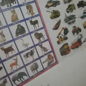 Paket 6 Lembar Poster Edukasi Anak - Belajar Seru dengan Poster ABC, Transportasi, Angka 1-50, Hewan, dan Buah-buahan