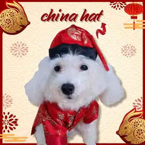 China Hat Topi Imlek CNY Hewan Anjing Kucing Pet Sincia Aksesoris