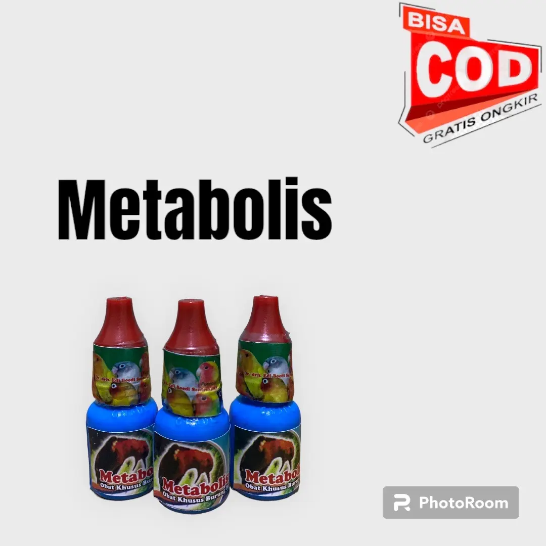 ￼Metabolis Metabolisme Burung Pleci Murai Batu Kenari Dr edi