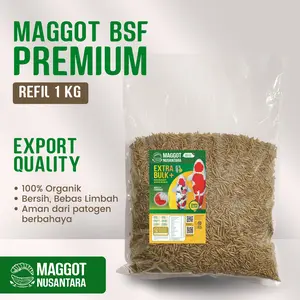MAGGOT NUSANTARA, PAKAN SUPLEMEN IKAN KOI, cepat Bulky, Kemasan Refil 1 Kg, Makanan Alami Bersih Bebas Sampah Nutrisi Lengkap, Kualitas Ekspor, 100% organik