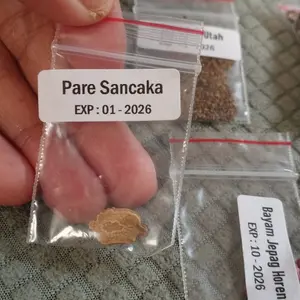 STM Benih Sayuran Rumahan Paket Hemat