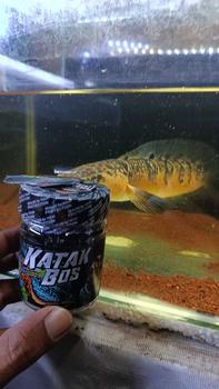 Product Review of PELET KATAK 100% CALSIUM / PAKAN IKAN BY BOS BOS QU from g**7 0