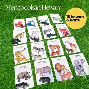 Montessori Mainan Edukatif Mencocokan Hewan Darat & Laut 16 pcs + Kartu