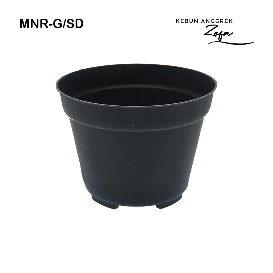 pot plastik untuk GRAMATHOPYLUM 4 POT BEDA ID (MNR-G/SD)