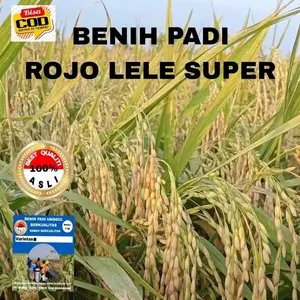 (1KG) Benih Padi ROJO LELE  kualitas unggul EXP 2026/8 bibit