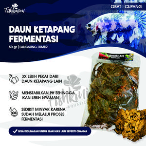KETAPANG LAUT OLAHAN FERMENTASI