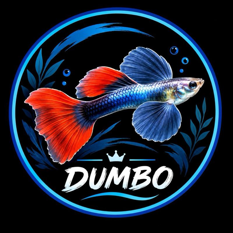 Logo cá 7 màu dumbo ( bảo hành bao tới tay khách hàng nếu có vấn đề gì nhắn tin cho shop )
