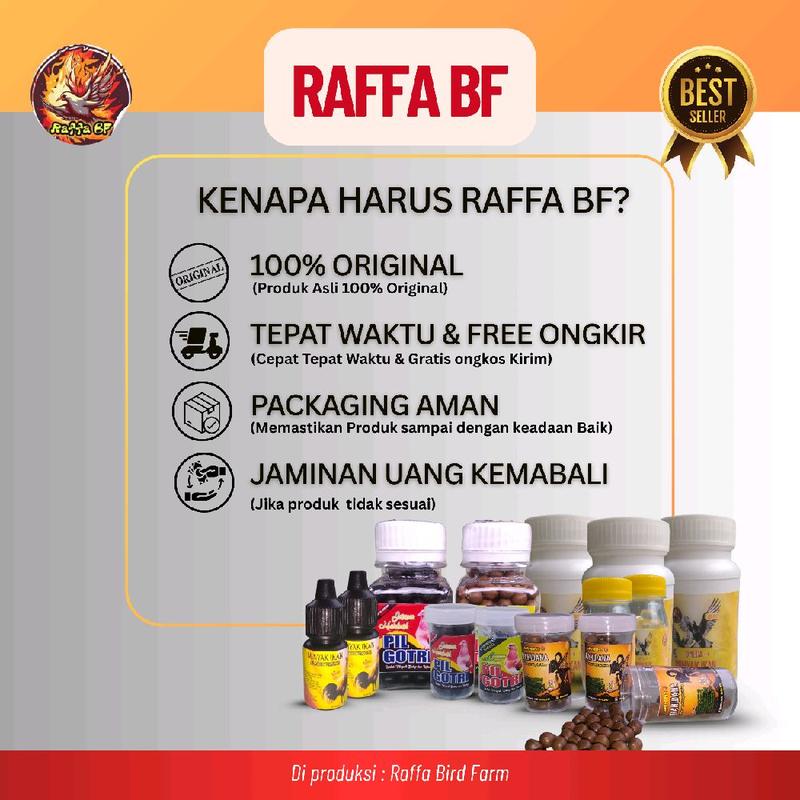 JAMU MERPATI PIL GOTRI 250 BUTIR KHUSUS TERBANG 4