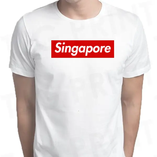 Singapore Box T-Shirt NDP National Day