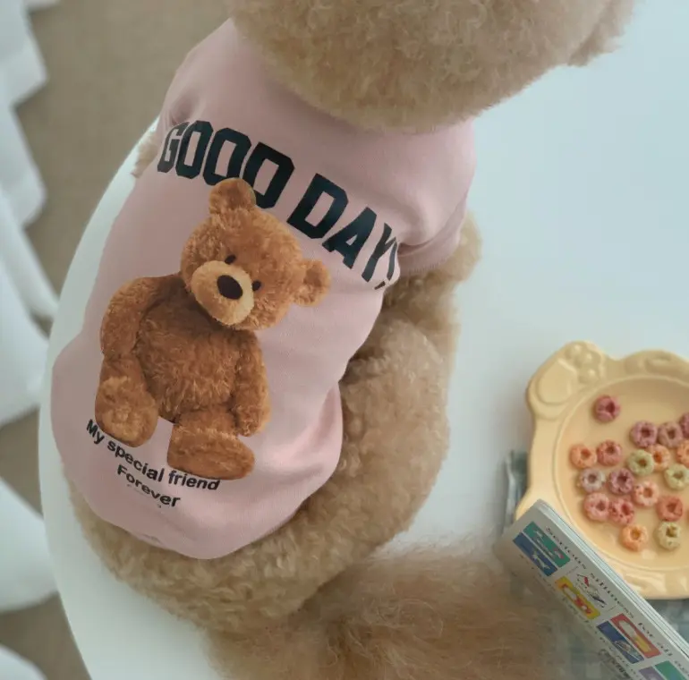 Cute bear pattern cat/dog trendy sweatshirt with velvet, warm, breathable and comfortable for small and medium-sized dogs 5