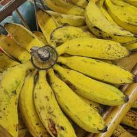 Gambar Pisang Raja Bulu Per Sisir -Raja Alpukat dari RAJA ALPUKAT Kota Administrasi Jakarta Timur 2 Tokopedia