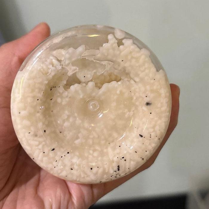 Organic Shiokoji / ikushima store / Perasa Alami untuk Masakan Sehat / Rahasia Rasa Umami / Pembuat Makanan Lebih Nikmat / Kualitas Jepang, Bahan Baku Bali 9