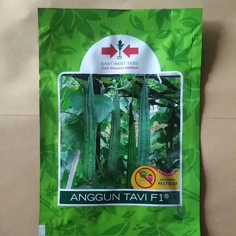 Benih Bibit Gambas Oyong Anggun Tavi F1 (Tahan Virus, mudah Merambat dan Tahan Simpan) Isi 75 Butir Kadaluarsa 2026 Terbaru - Cap Panah Merah (Tanaman Sayuran Umbi Hijau Daun) 1