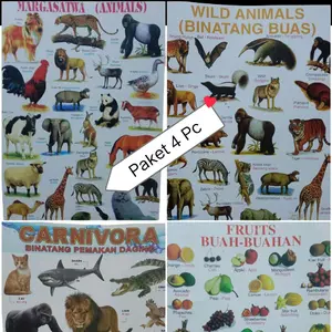 Paket 4 Poster Edukatif Buah Margasatwa Carnivora & Binatang Buas Ukuran 49 x 34 cm Kertas Karton Tebal Kwalitas Bagus Harga Ekonomis