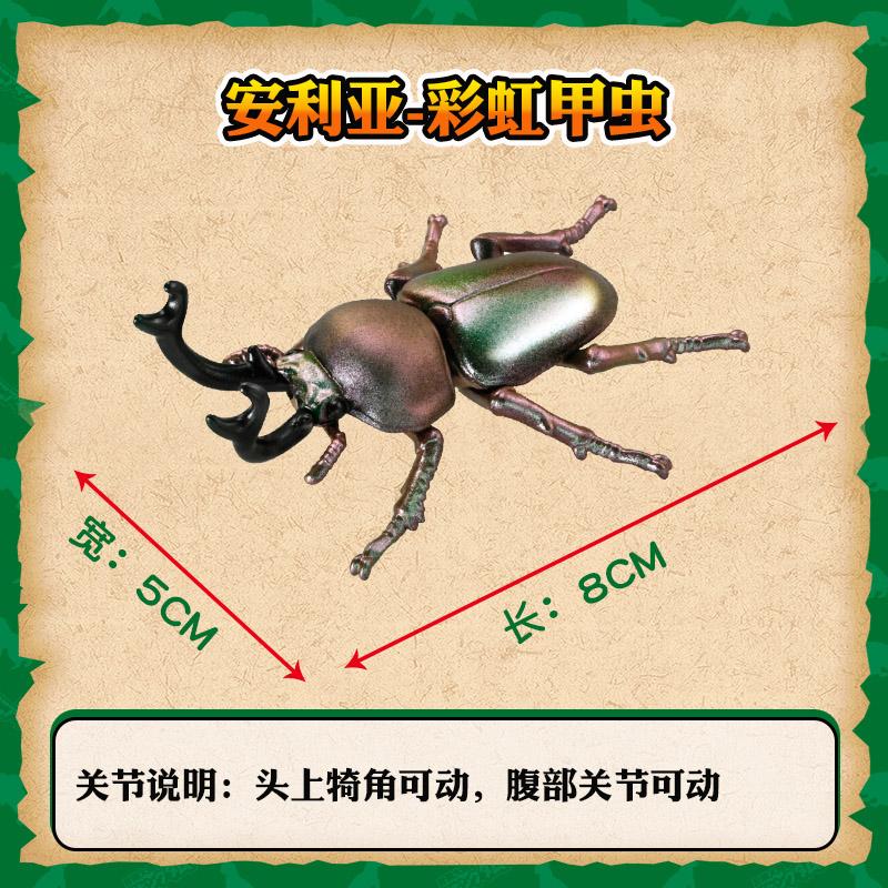 Product Introduction of Takara Tomy Ania animal model AS-42 Rainbow Beetle 6
