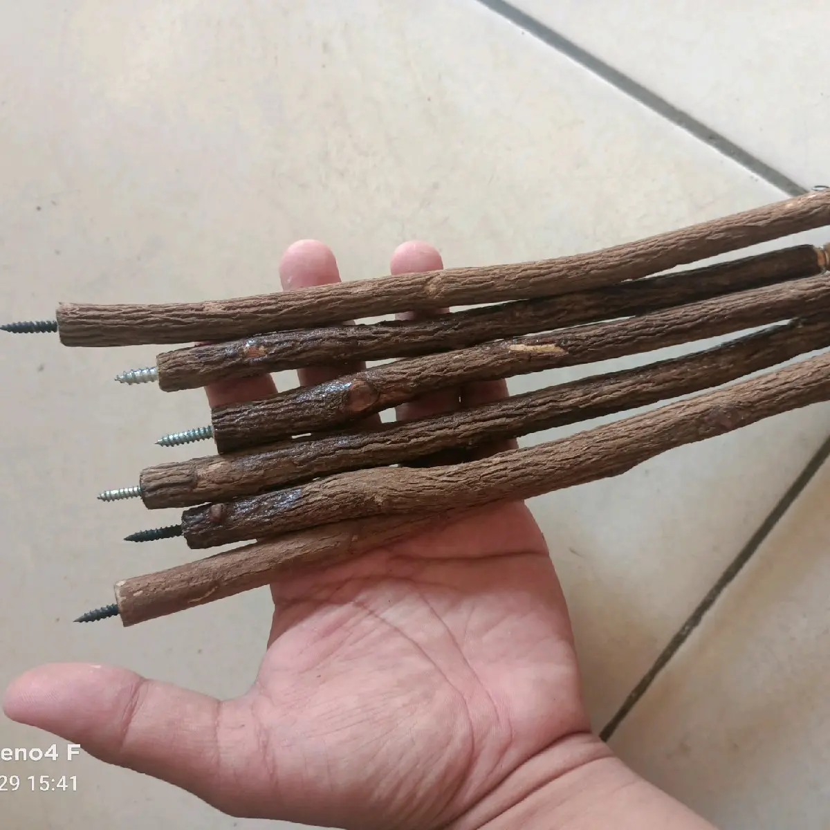 tangkringan  ranting kutilang viral bahan asam bali di jamin nyaaman bl tidak takut pnjang 30cm