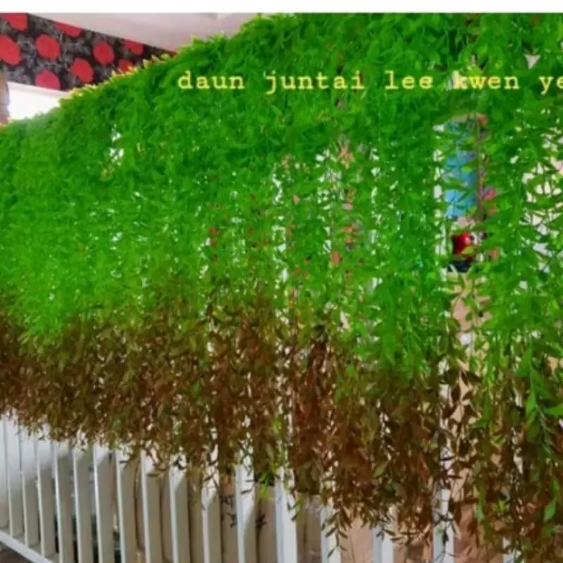 daun juntai pucuk merah (1Lusin) TANPA PT artificial plastik palsu 6